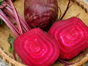Early Blood Turnip Beet (pre 1774)