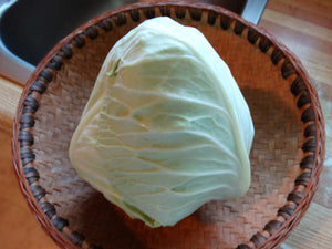 Early Jersey Wakefield Cabbage (1840s)