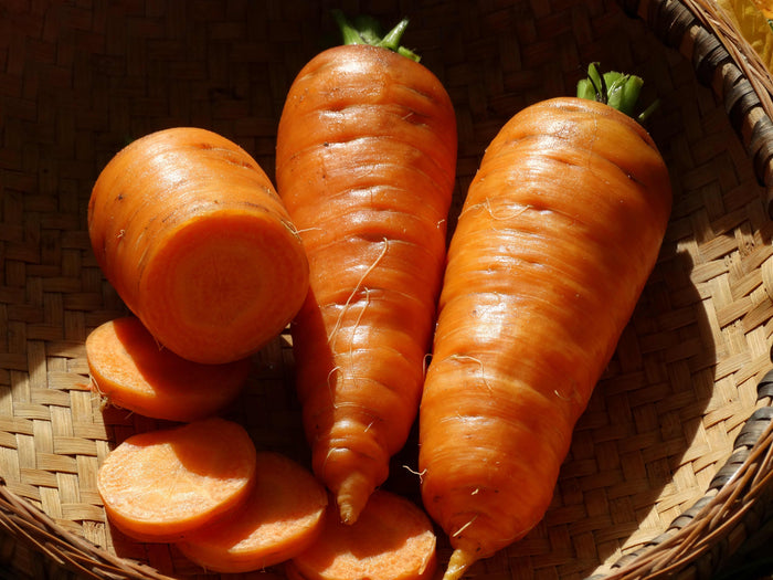 Early Scarlet Horn Carrot (1600's)