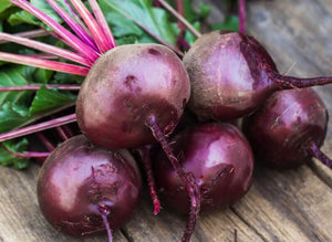 Beet - Early Wonder
