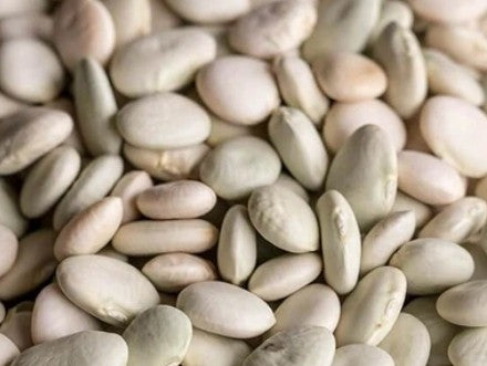 Heirloom Bean Seeds - Lima