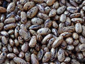 Emelia’s Italian Bean