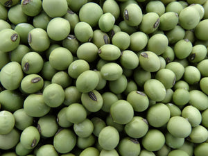 Envy Soybean