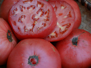 Estler's Mortgage Lifter Tomato