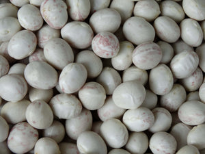 Ferris Heirloom Bean