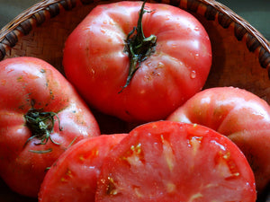 Ferris Wheel Tomato (1898)