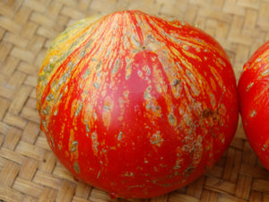 Feurerwerk Tomato