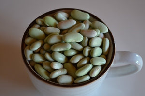 Flageolet Merveille Bean