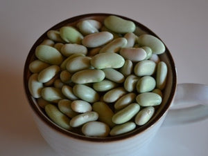 Flageolet Merveille Bean