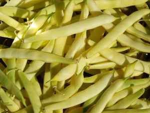 Fortin's Family Bean