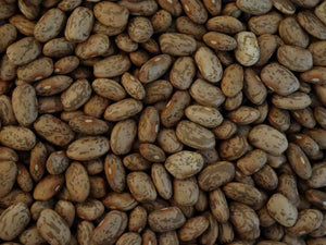 Ga Ga Hut Pinto Bean
