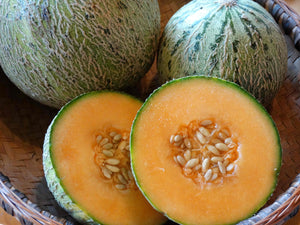 Gnadenfeld Melon