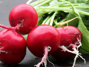 German Giant Radish