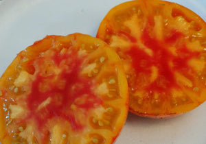 Gold Medal Tomato (1921)