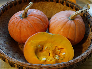 Gold Nugget Squash (1966) (C.Maxima)