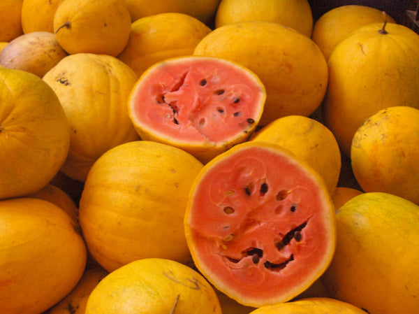 Heirloom Watermelon Seeds - (Citrullus lanatus)