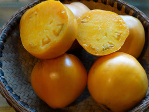 Golden Oxheart Tomato