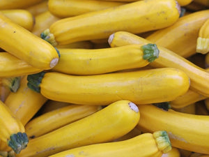 Golden Zucchini (C.Pepo)