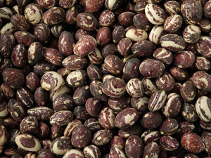 Good Mother Stallard Bean