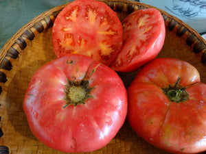Giant Belgium Tomato