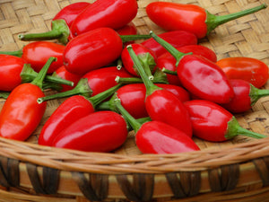 Grandpa's Siberian Home Pepper