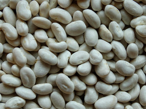 Great Northern Bean