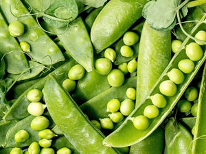 Green Arrow Pea