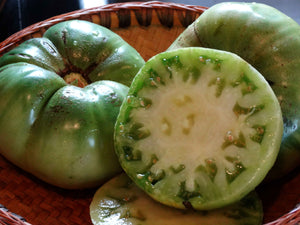 Green Giant Tomato
