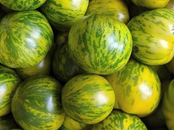 Heirloom Tomato Seeds - Green