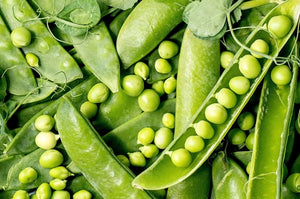Green Arrow Pea