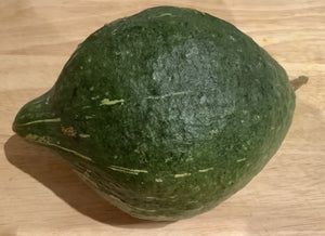 Green Hubbard Squash (1798)