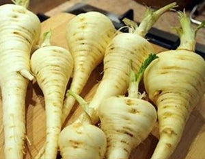 Guernsey Half Long Parsnip (pre-1850)