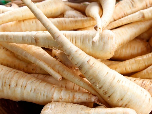 Heirloom Parsnip Seeds - (Pastinaca sativa)