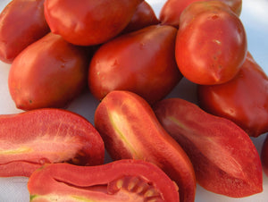 Hungarian Italian Tomato