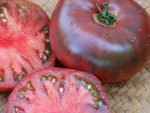 Indian Stripe Tomato