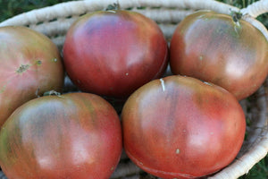 Indian Stripe Tomato