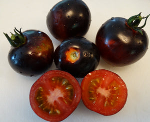 Indigo Rose Tomato