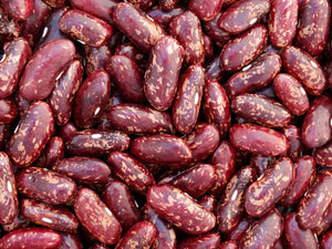 Iroquois Cornbread Bean