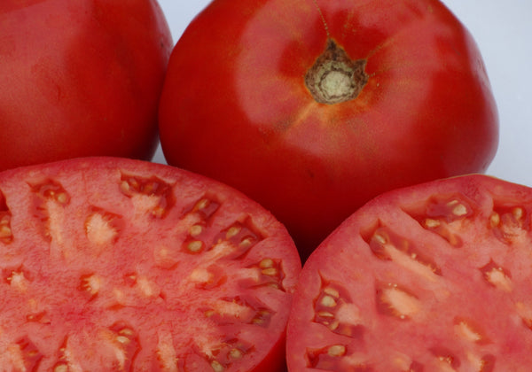 Heirloom Tomato Seeds - Canning