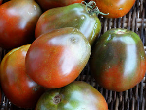 Japanese Trifele Black Tomato