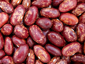 Jesse Fisk Bean (pre-1740)