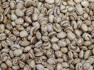 Kahnawake Mohawk Bean