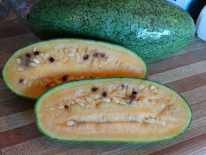Kaho Watermelon (pre-1912)