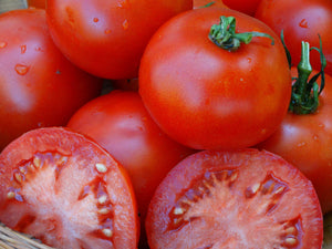 Kalinka Tomato