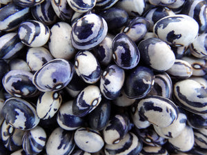 Kaimame Bean