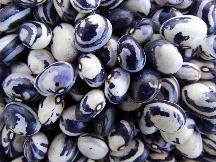 Kaimame Bean