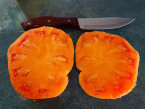 Kelogg’s Breakfast Tomato