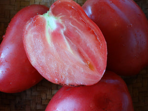Kim’s Civil War Oxheart Tomato