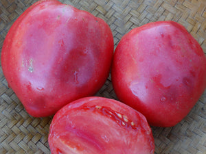 Kosovo Tomato
