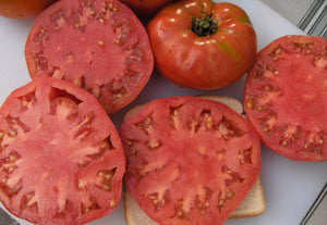 Kukla's Portuguese Beefsteak Tomato